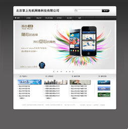 第一版网站设计 信息系统集成