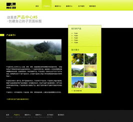 信息系统集成中的网页设计初稿 策略、关键要素与实践指南