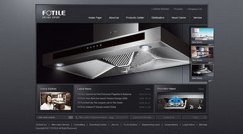 专业网站设计典范 凯娜设计官网与信息系统集成的优秀实践